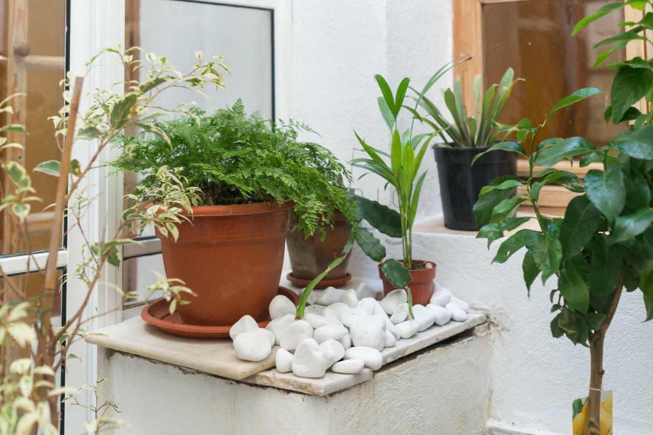 Apartmán La Divina Cádiz Exteriér fotografie